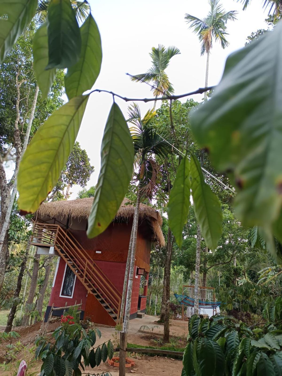 Kuruva Shoreline Wayanad Chegāt Zewnętrze zdjęcie